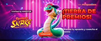 Promociones Slottica Perú
