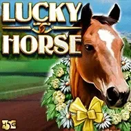 Lucky HorseHighfive